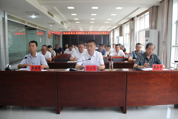 隴運集團(tuán)公司召開2023年上半年經(jīng)濟運行調(diào)度會